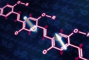 Spins in an organic polymer