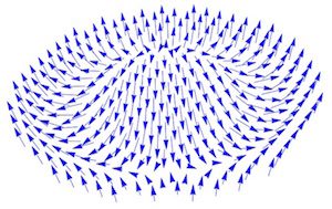 Magnetic skyrmion. Copyright (C) Hristo Velkov.
